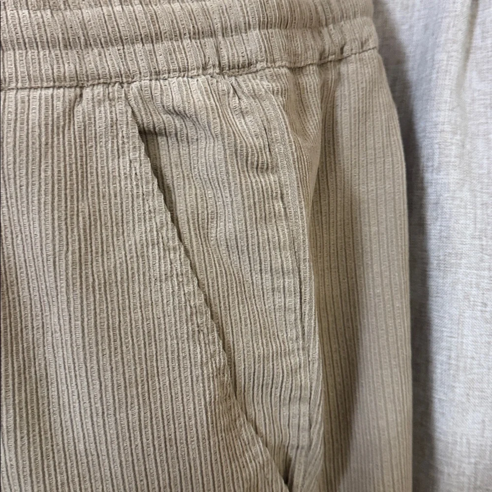 MARINE LAYER Saturday cord pant stone 98%Cotton #65 - Picture 3 of 9